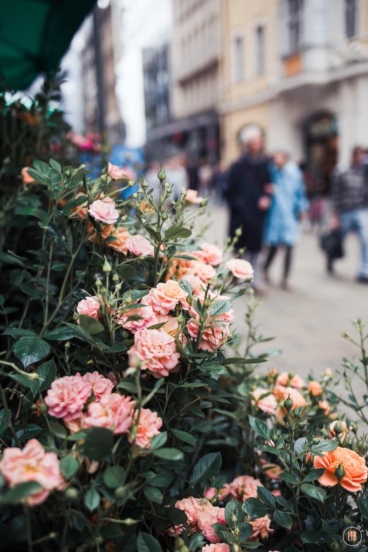 Leipzig - travel photography - Rae Tashman - lovefromberlin.net