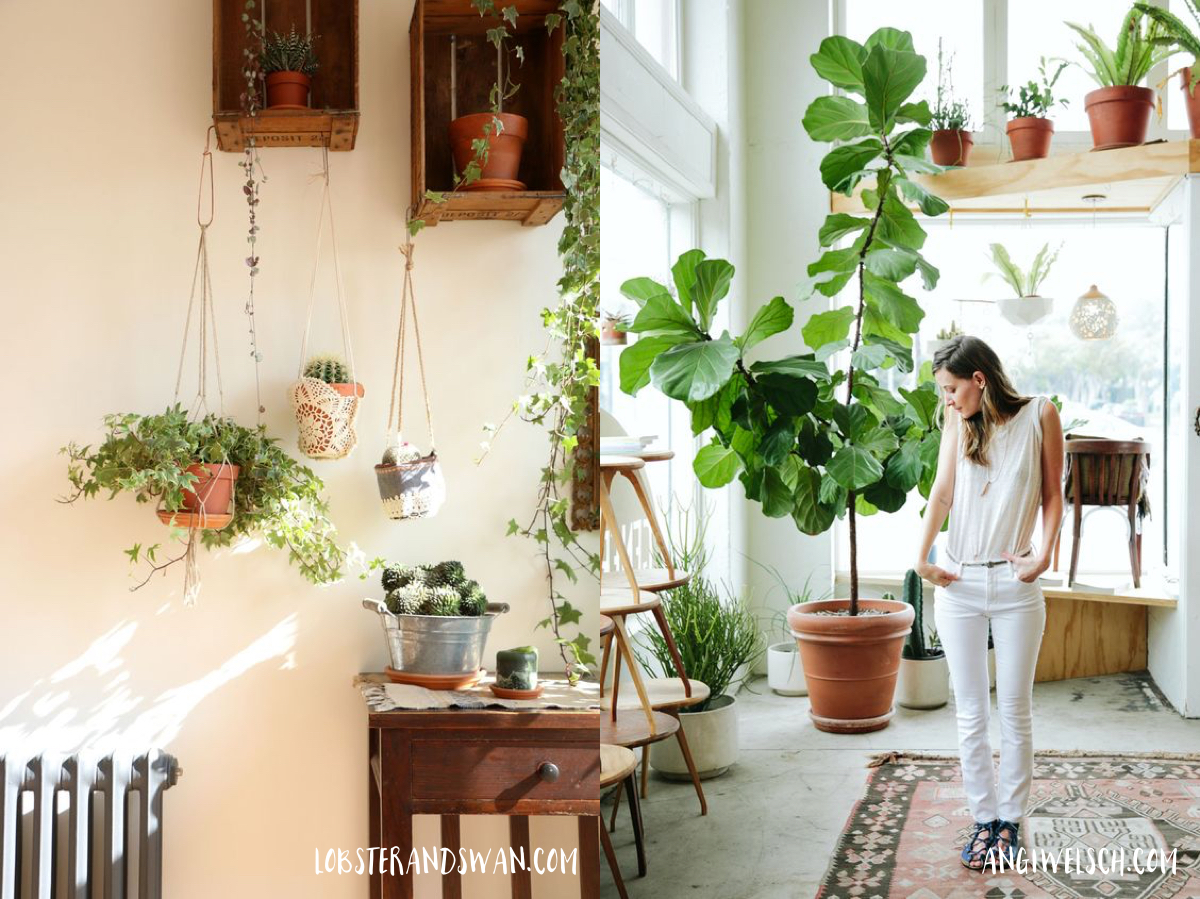 plant interiors - boho interior - lovefromberlin.net