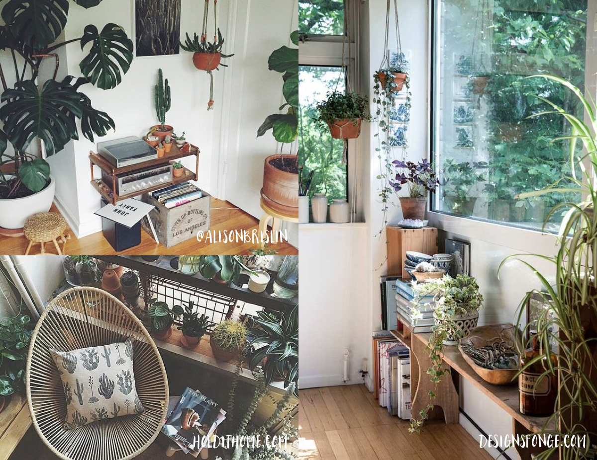 plant interiors - boho interior - lovefromberlin.net