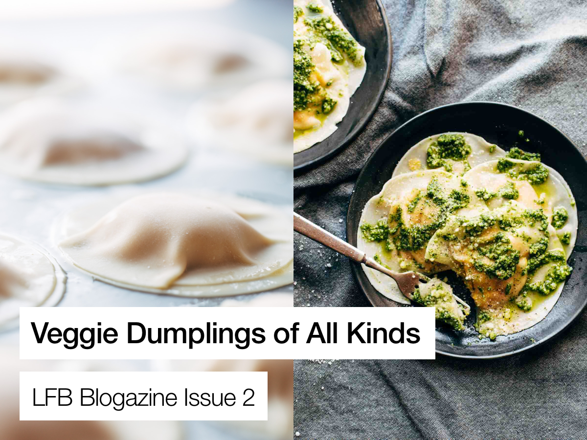 issue_2_banner_veggie_dumplings
